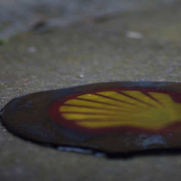 shell processo 9 ogoni olanda