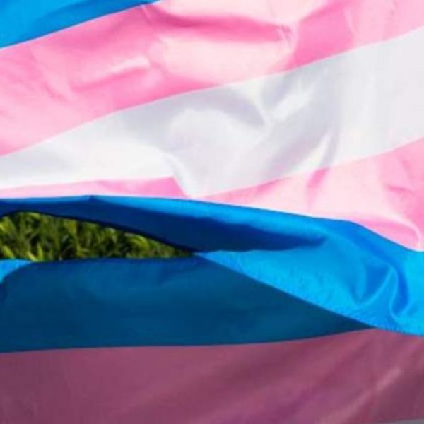 cina transgender operazioni